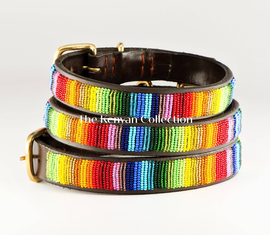 "Rainbow" Beaded Dog Collar - Exceptional Equestrian 