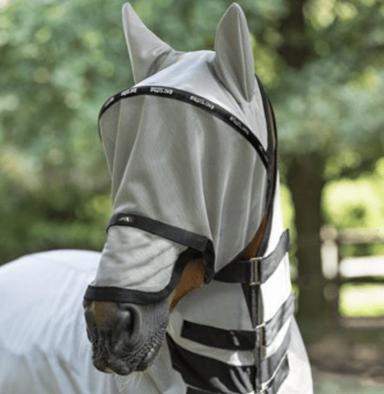 Equiline - Lemon Mask w/ Eye Band Protector - Exceptional Equestrian