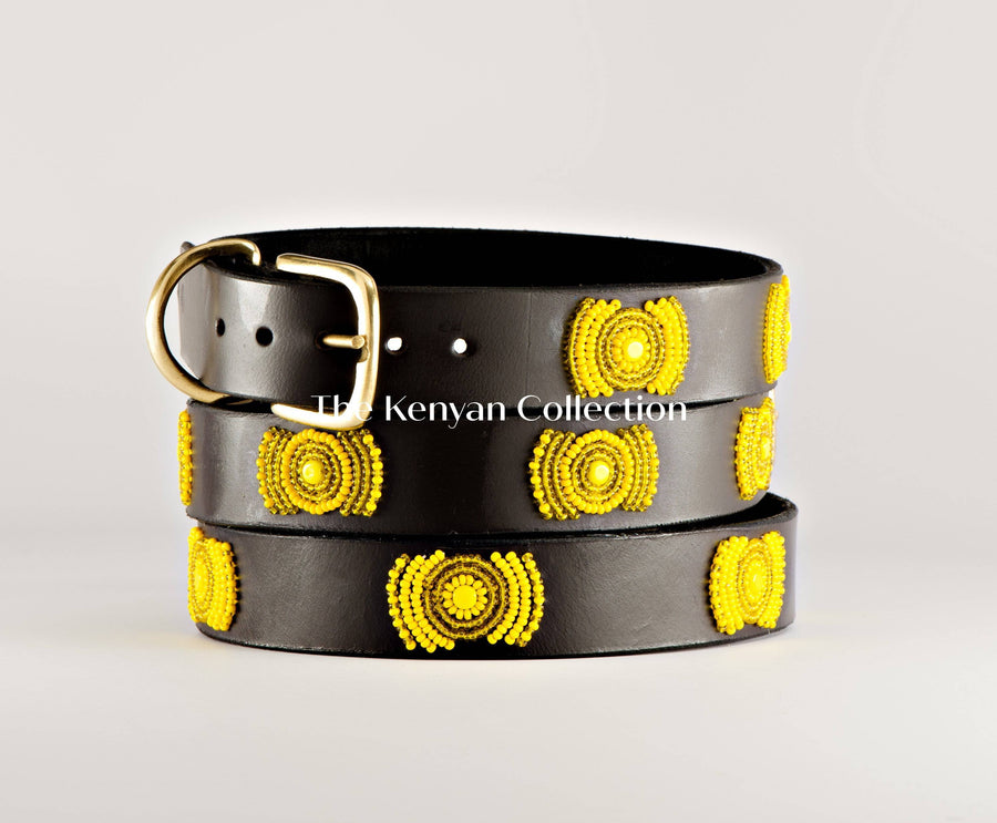 "Sunshine" Beaded Dog Collar - Exceptional Equestrian 