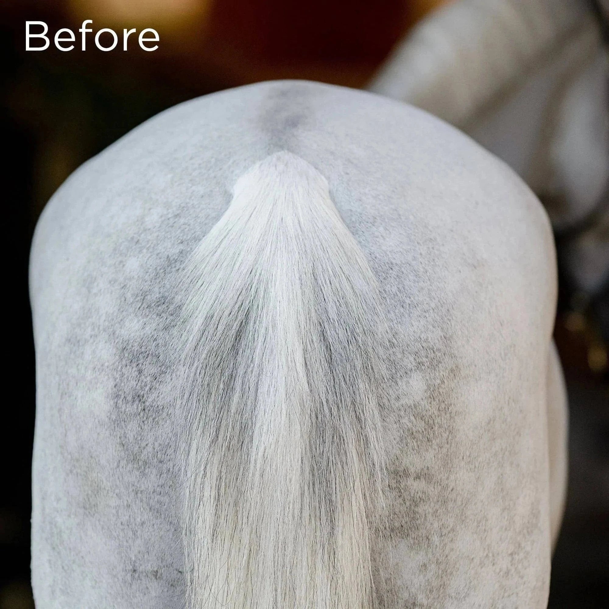 Equifit No Hassle TailWrap™ - Exceptional Equestrian