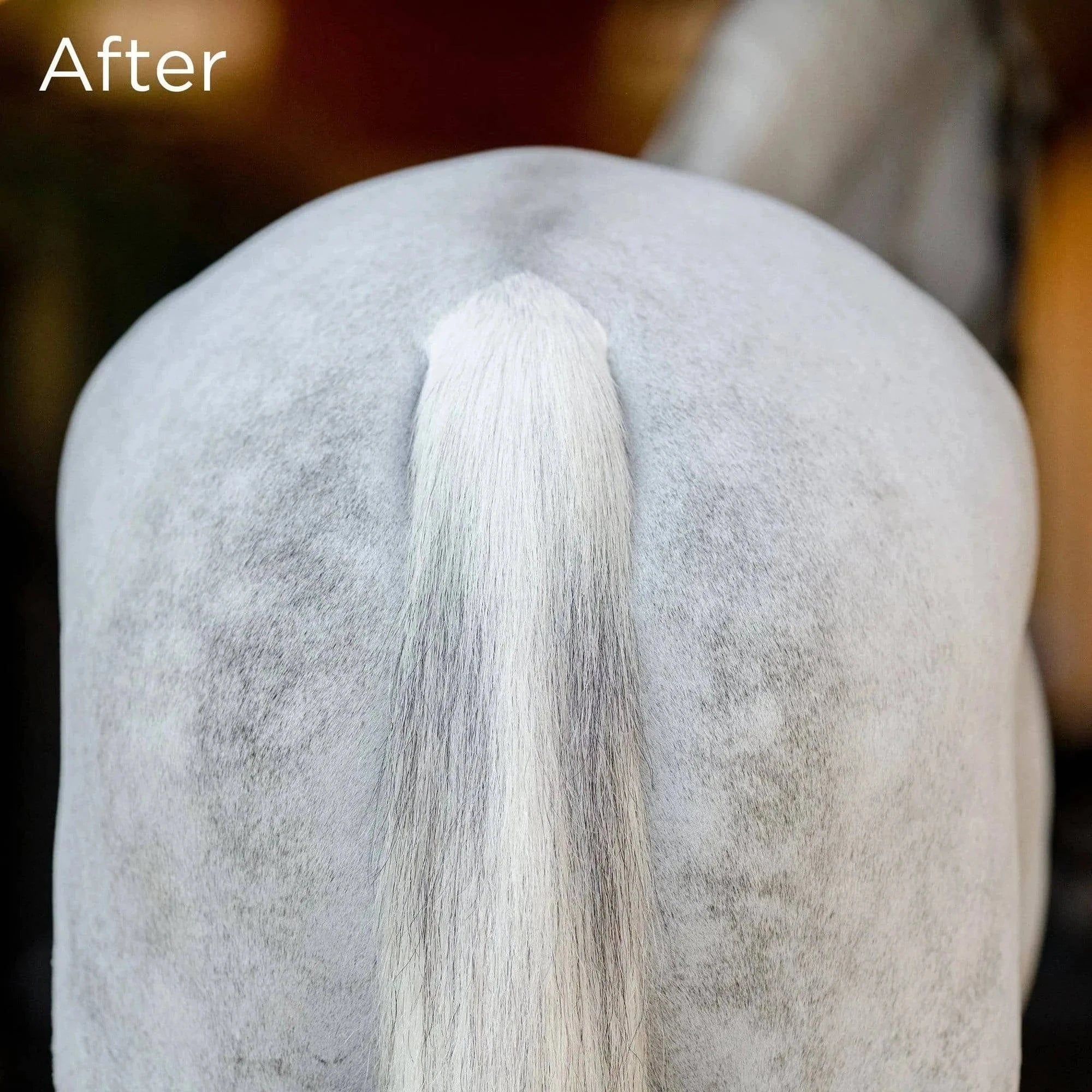 Equifit No Hassle TailWrap™ - Exceptional Equestrian