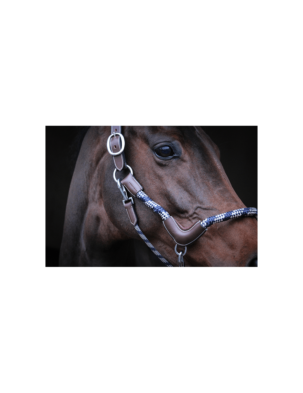 JUMP'IN "Travel" Halter - One Collection - Exceptional Equestrian