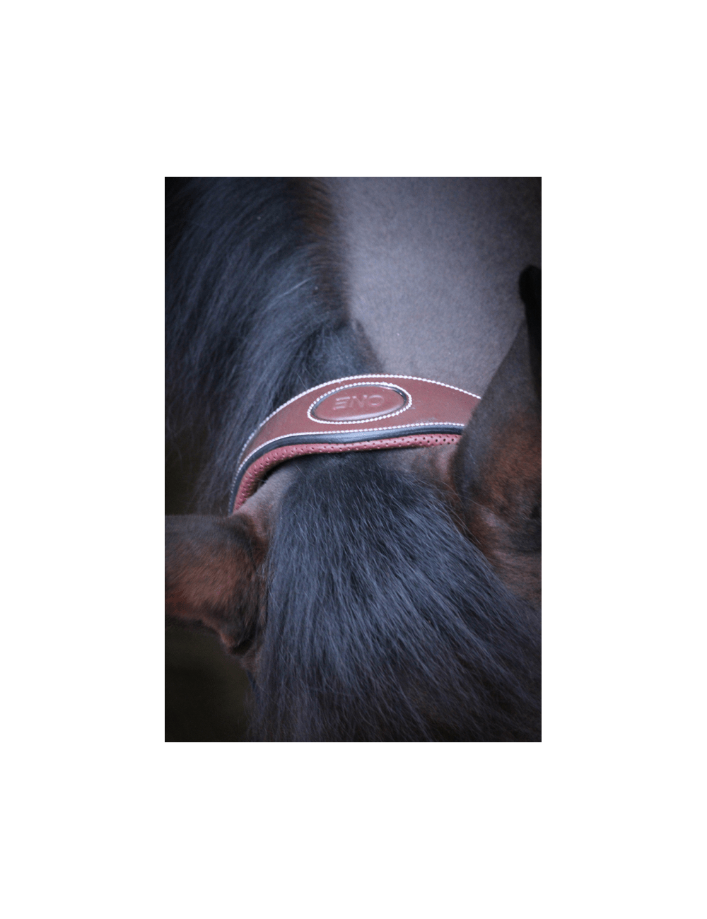 JUMP'IN "Travel" Halter - One Collection - Exceptional Equestrian