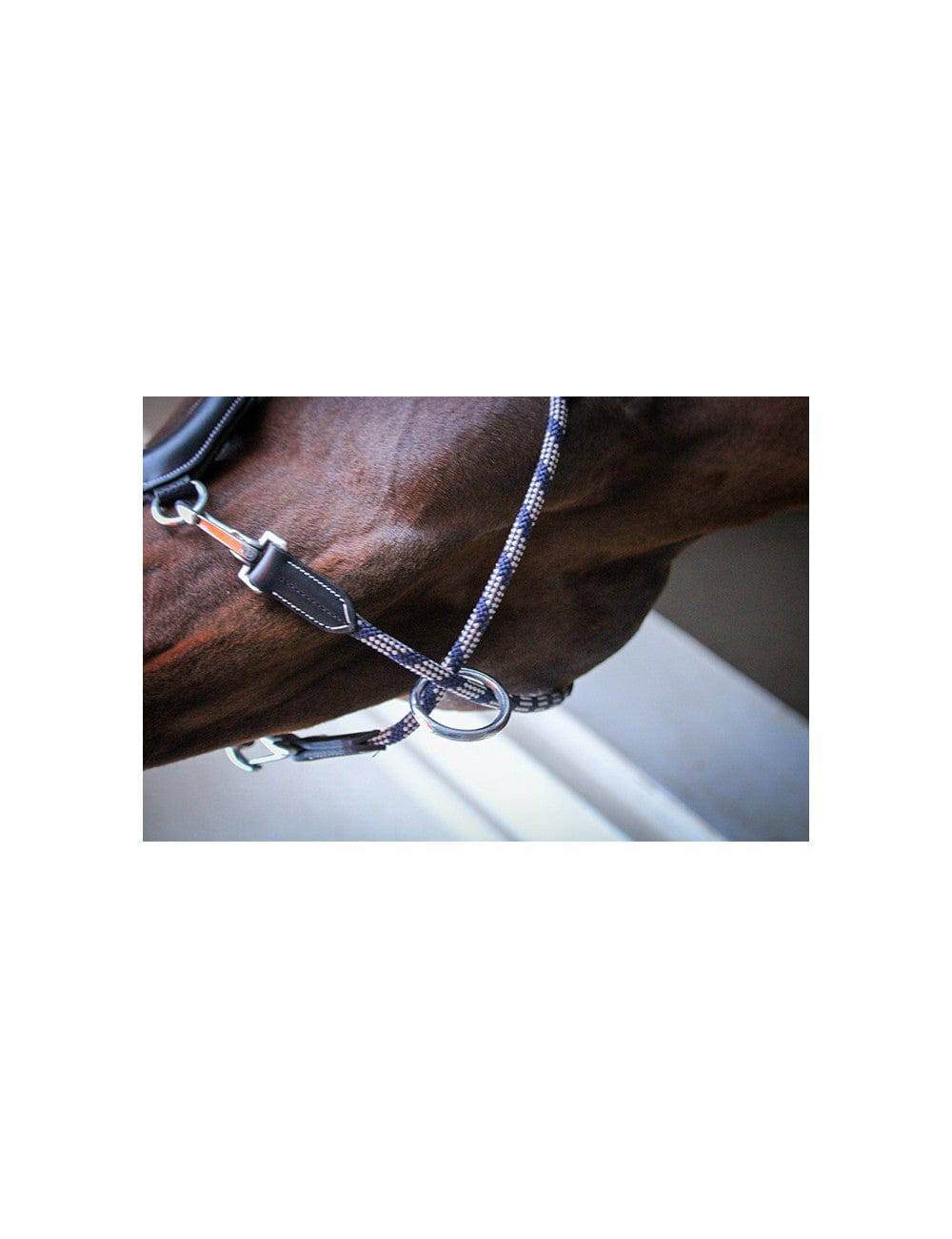 JUMP'IN "Travel" Halter - One Collection - Exceptional Equestrian