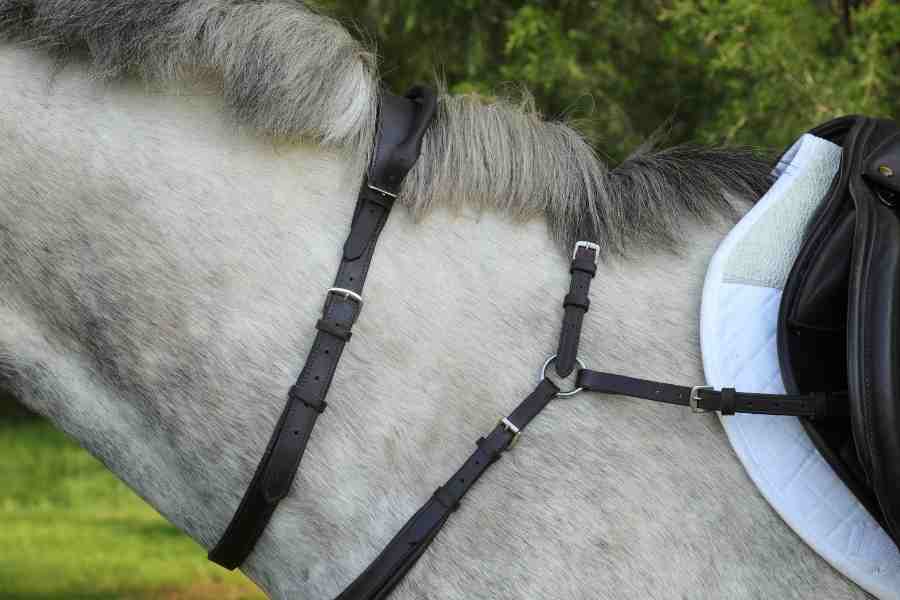 Correct Connect™ - Double Neck Strap - Exceptional Equestrian
