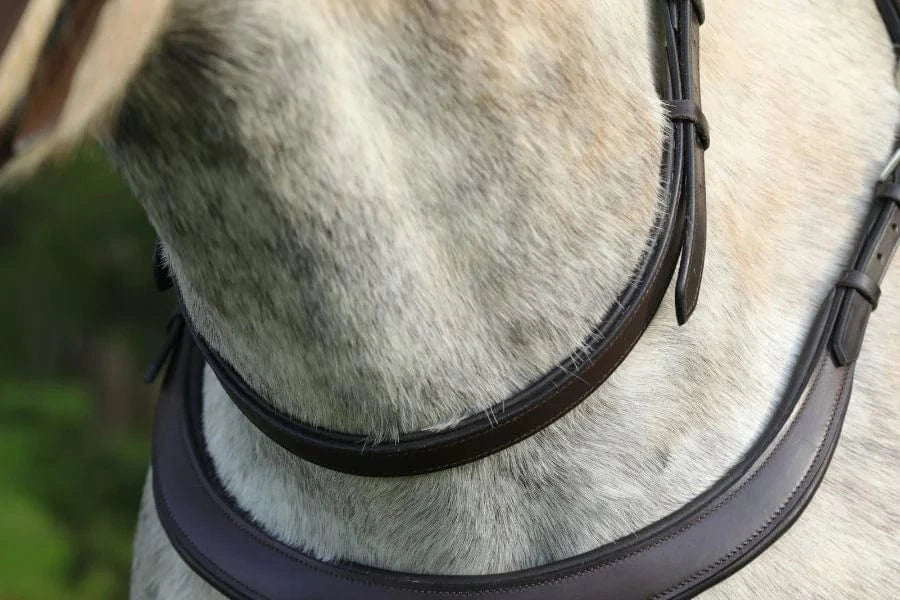 Correct Connect™ - Double Neck Strap - Exceptional Equestrian