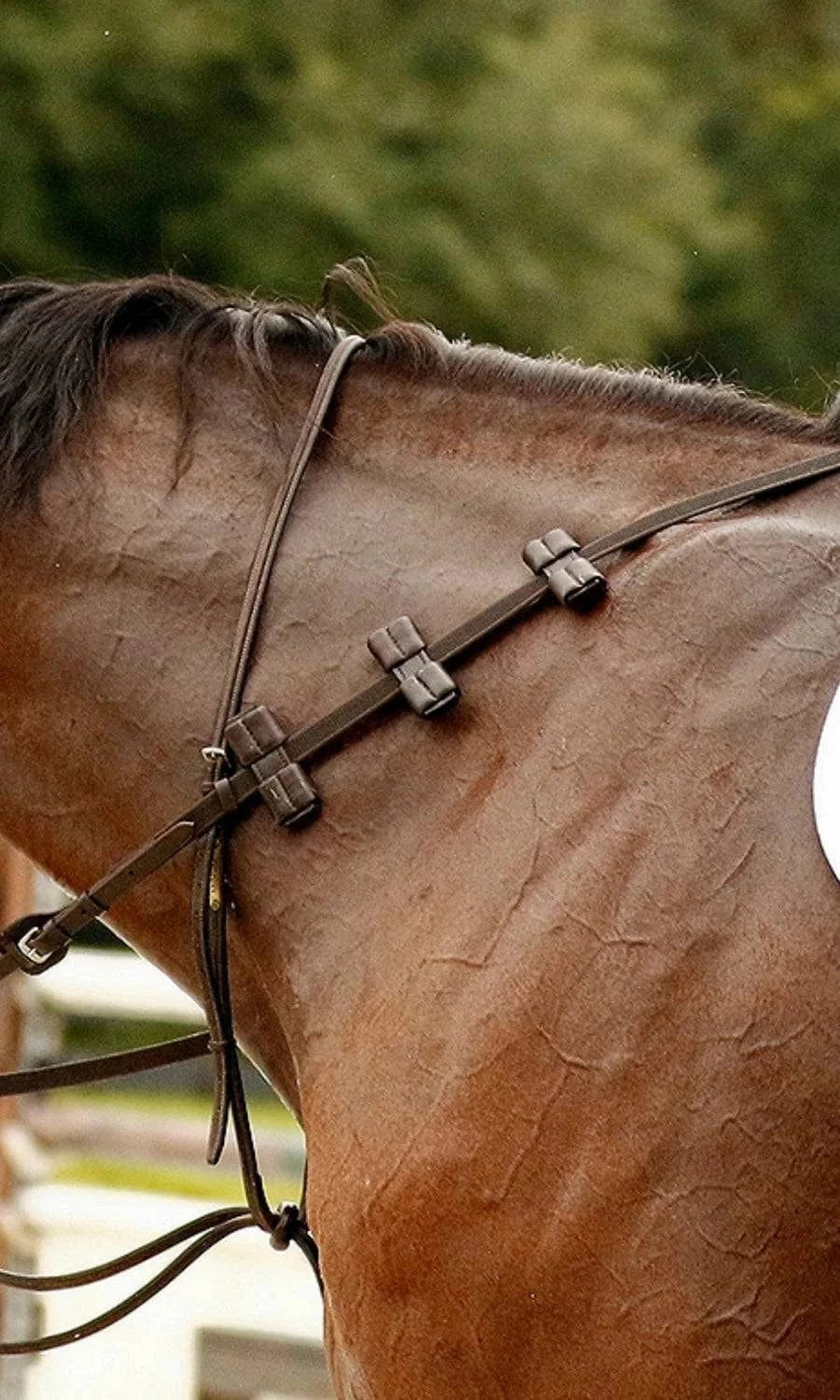 Correct Connect™ - Aaron Vale Rein with 3 Padded Hand Grips - Exceptional Equestrian