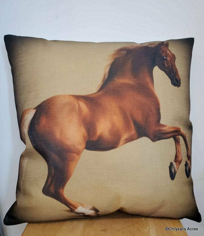 Chrysalis Acres Throw Pillows - Exceptional Equestrian