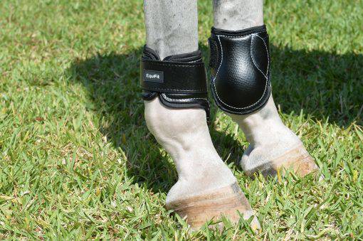 Young Horse Hind Boot by Equifit - Exceptional Equestrian