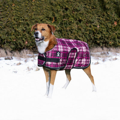 Shedrow K9 - Shedrow K9 Glacier Dog Coat - Potent Purple Plaid: Small