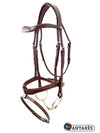 Signature by Antares Flash Noseband Bridle