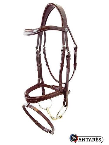 Signature by Antares Flash Noseband Bridle - Exceptional Equestrian