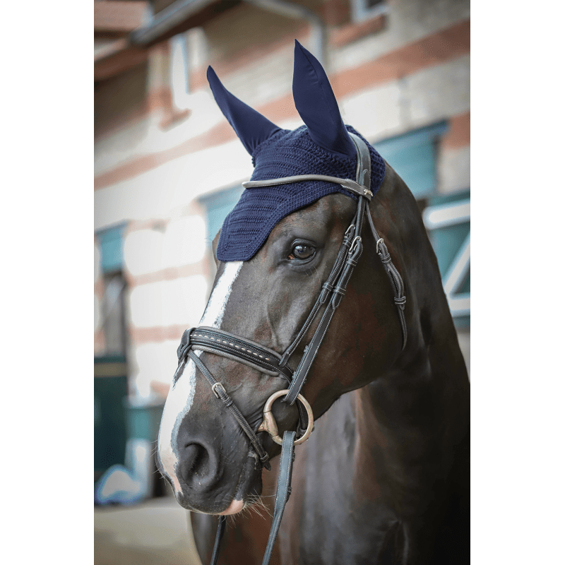 Paddock Sports Fly Veil - Exceptional Equestrian
