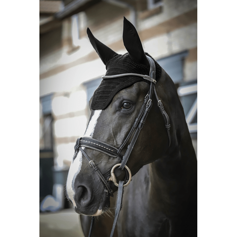 Paddock Sports Fly Veil - Exceptional Equestrian