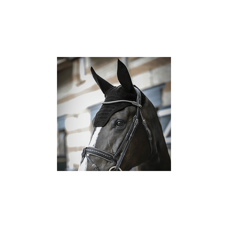 Paddock Sports Fly Veil - Exceptional Equestrian
