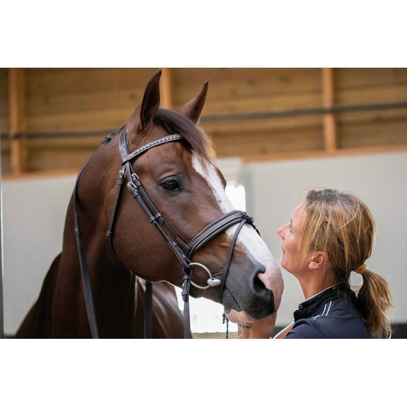 Pénélope - Daily Bridle - Exceptional Equestrian