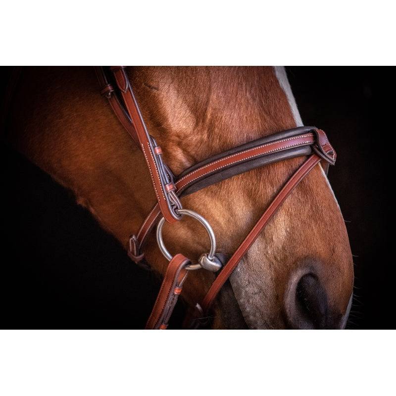 Pénélope - US bridle - Exceptional Equestrian