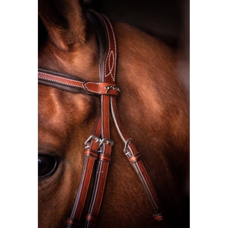Pénélope - US bridle - Exceptional Equestrian