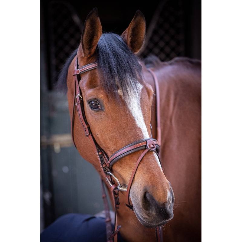 Pénélope - US bridle - Exceptional Equestrian