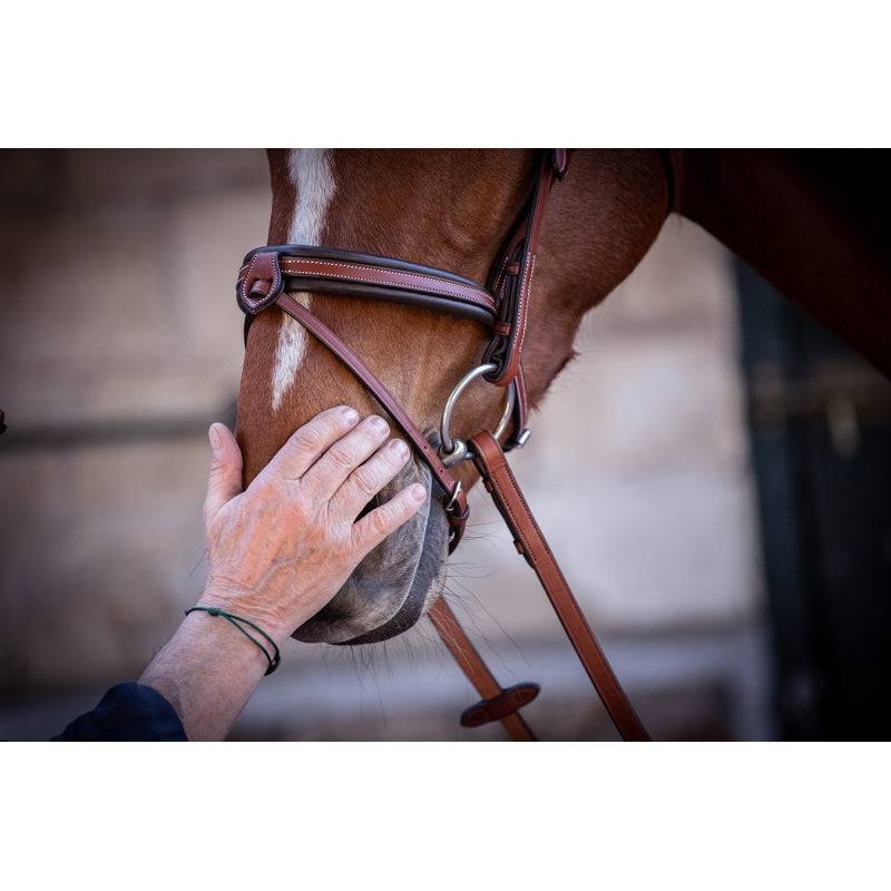 Pénélope - US bridle - Exceptional Equestrian