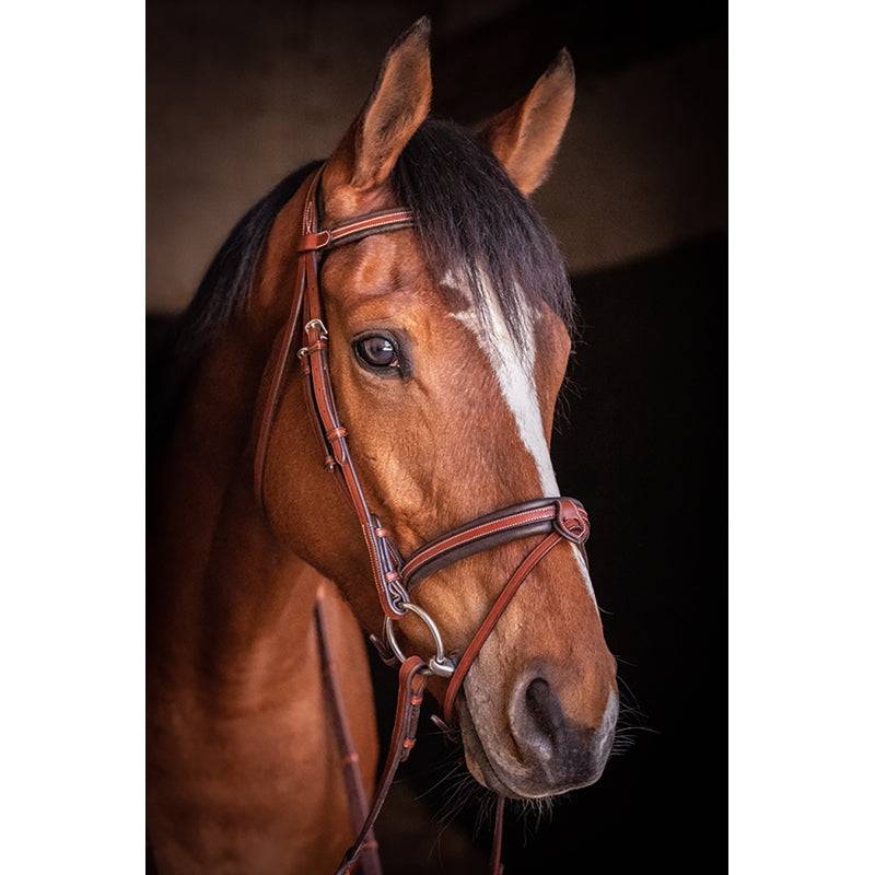 Pénélope - US bridle - Exceptional Equestrian