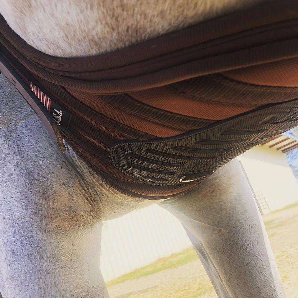 Majyk Equipe Ergonomics 'Superhorse' Monoflap Girth w/ Neoprene-Free Line - Exceptional Equestrian