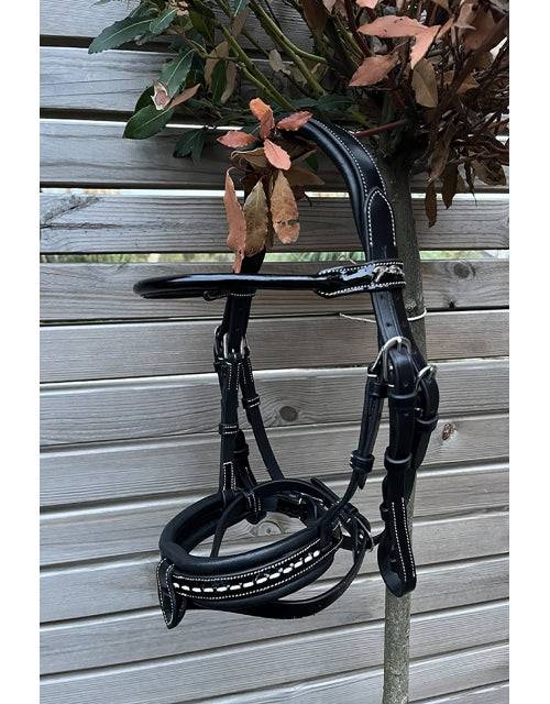 Pénélope - Eden Bridle - Exceptional Equestrian