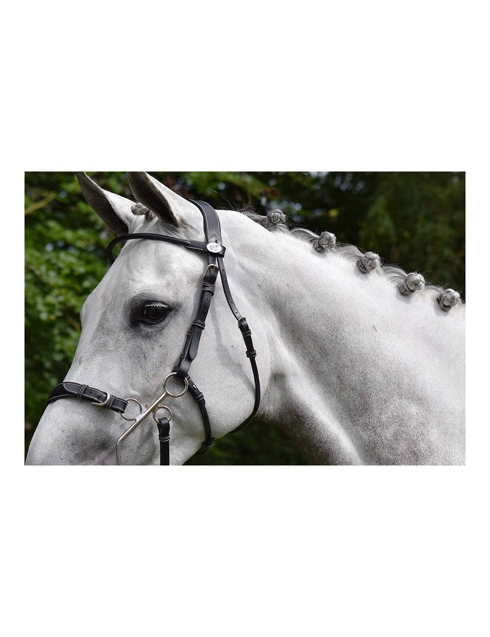 JUMP'IN Hackamore Bridle - Week Collection - Full Size Only - Exceptional Equestrian