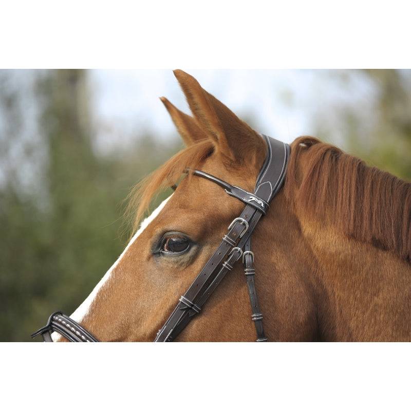 Pénélope - Point Sellier Bridle - Exceptional Equestrian