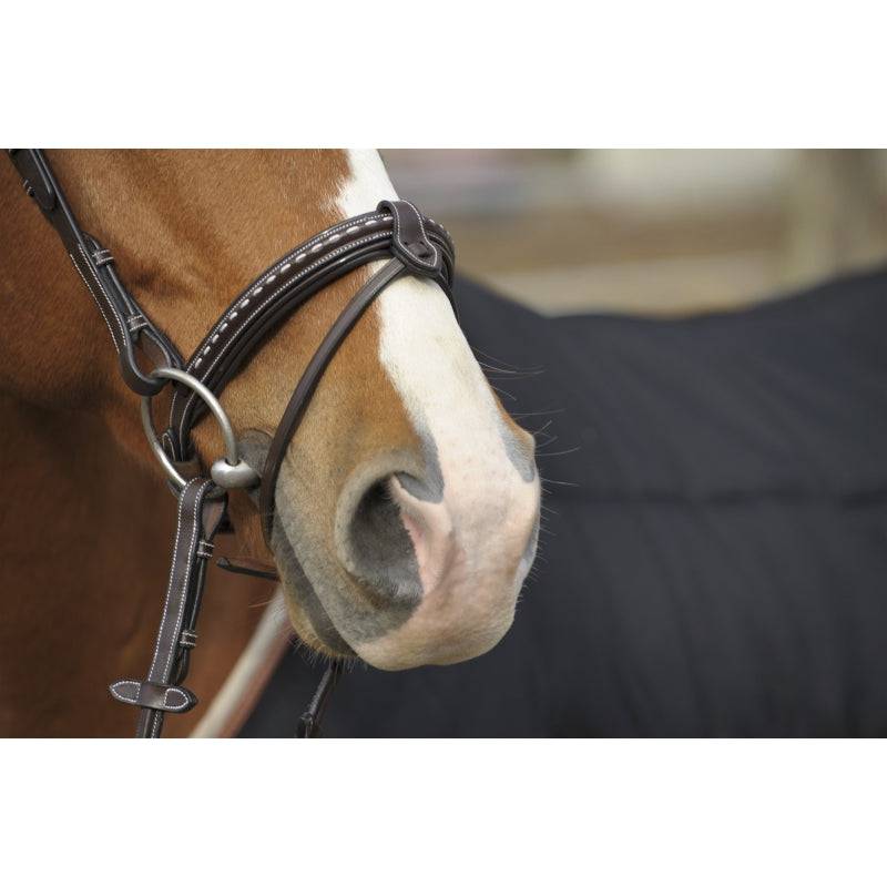 Pénélope - Point Sellier Bridle - Exceptional Equestrian