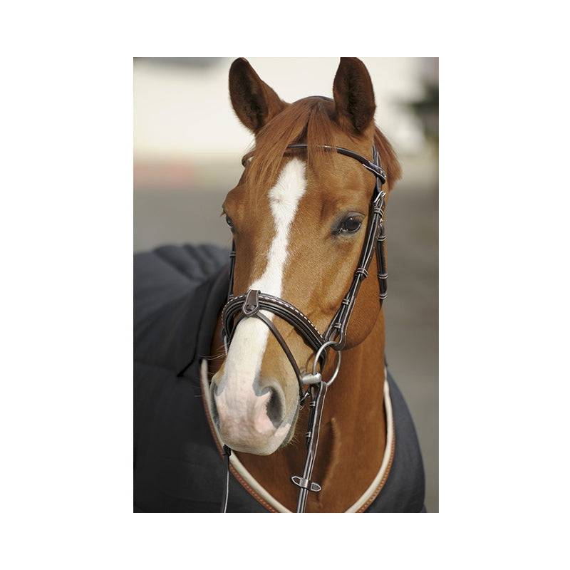 Pénélope - Point Sellier Bridle - Exceptional Equestrian 