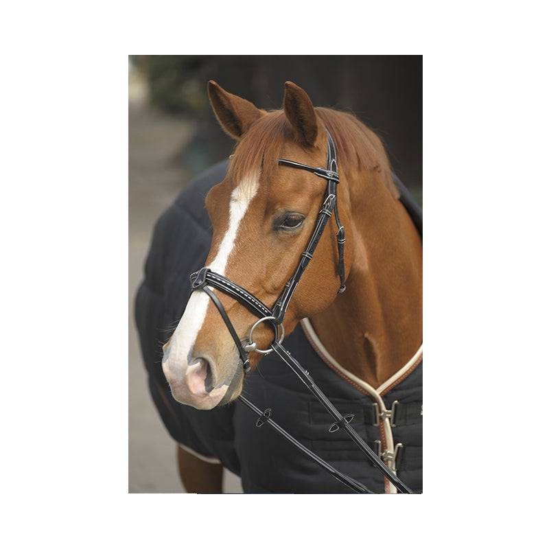 Pénélope - Point Sellier Bridle - Exceptional Equestrian