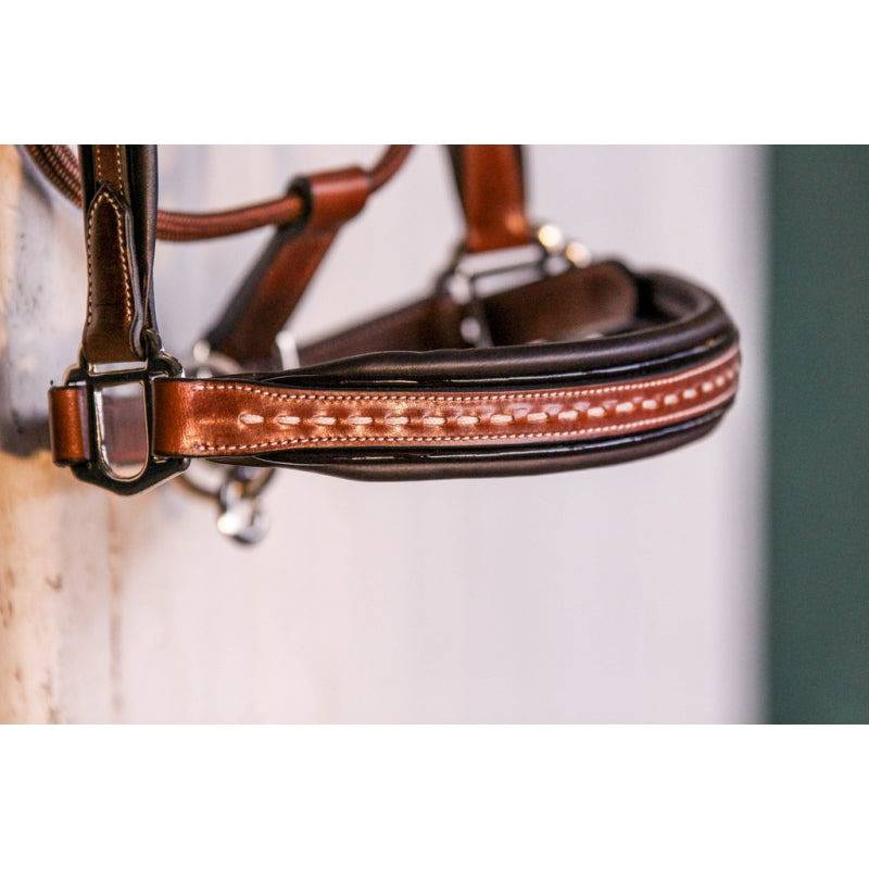 Pénélope - Point Sellier Leather Halter - Exceptional Equestrian