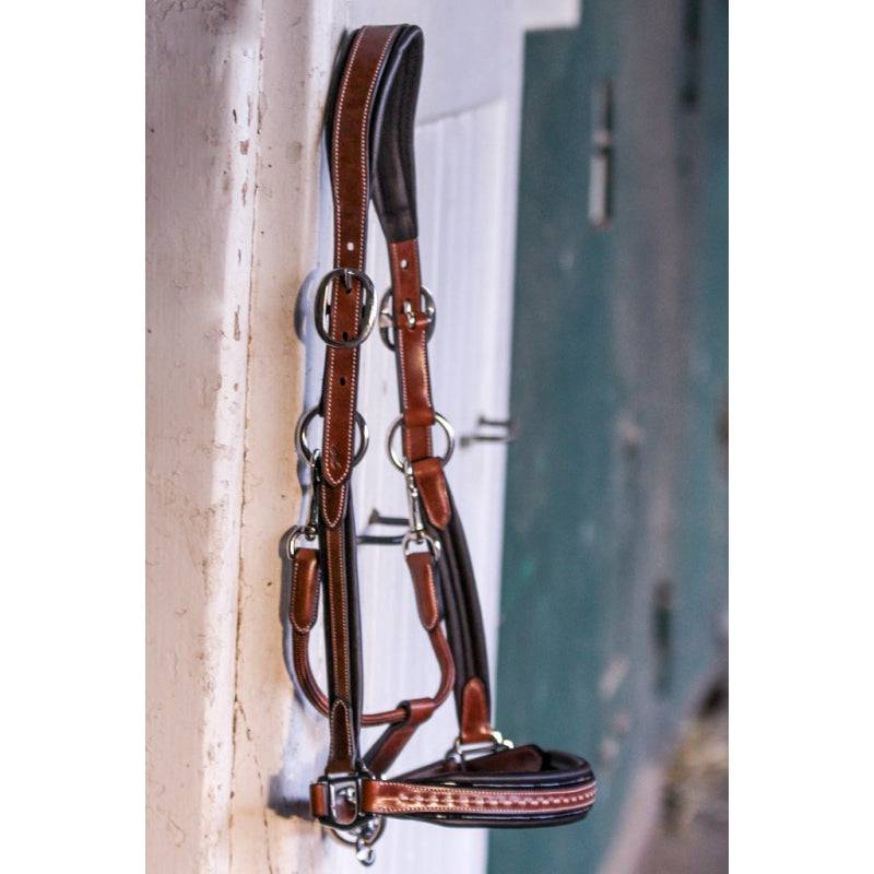 Pénélope - Point Sellier Leather Halter - Exceptional Equestrian 