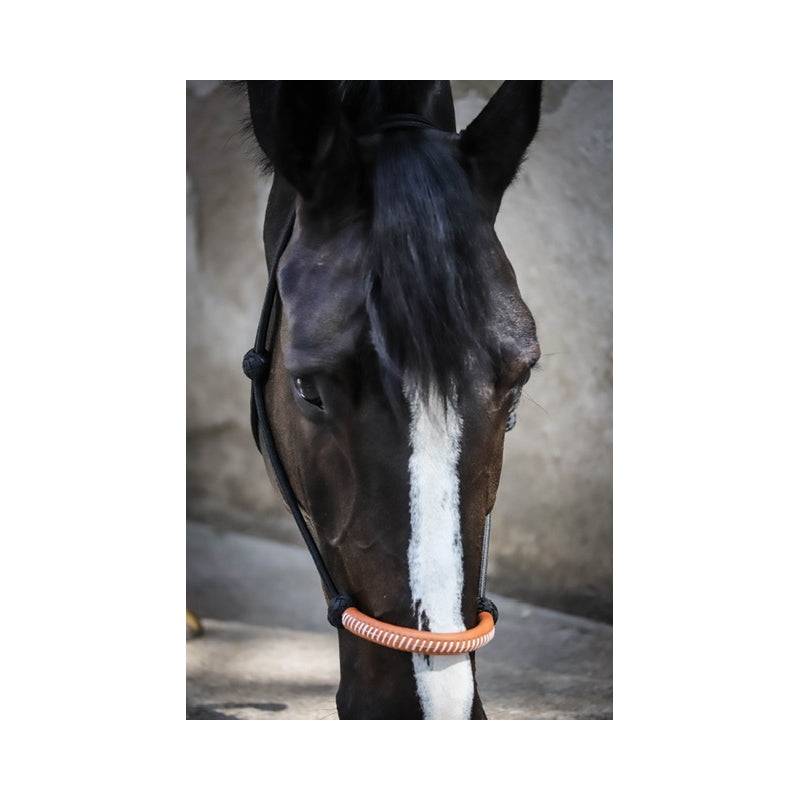 Pénélope - American Rope Halter - Exceptional Equestrian