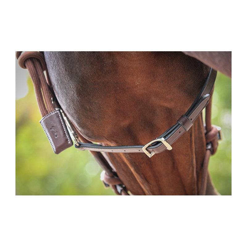 Pénélope - Ethological Halter - Exceptional Equestrian