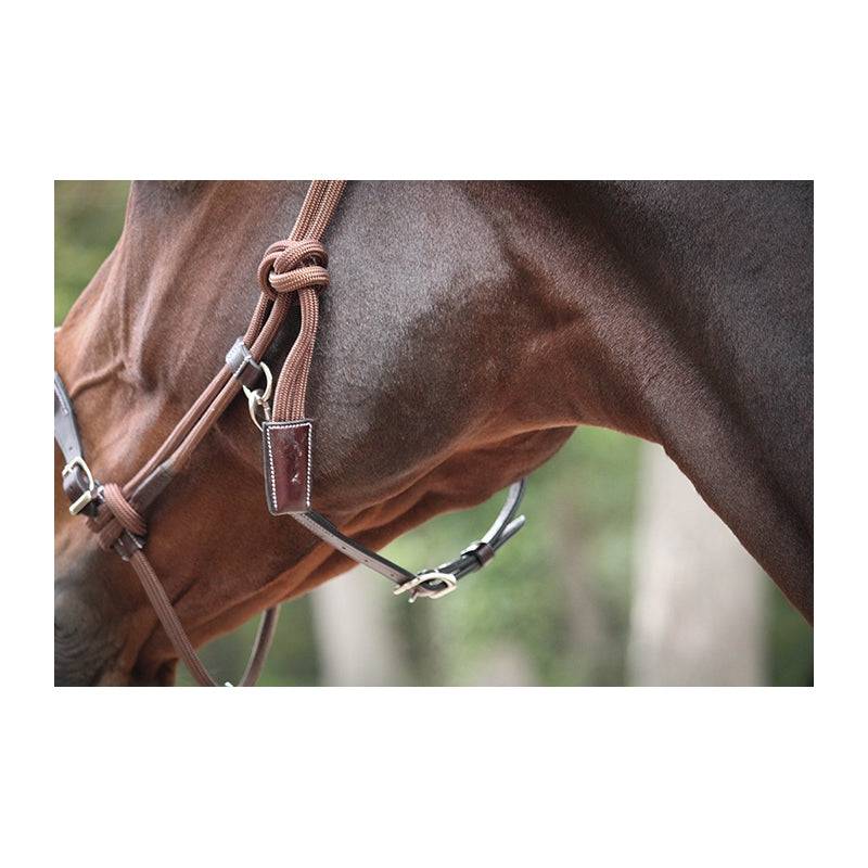 Pénélope - Ethological Halter - Exceptional Equestrian