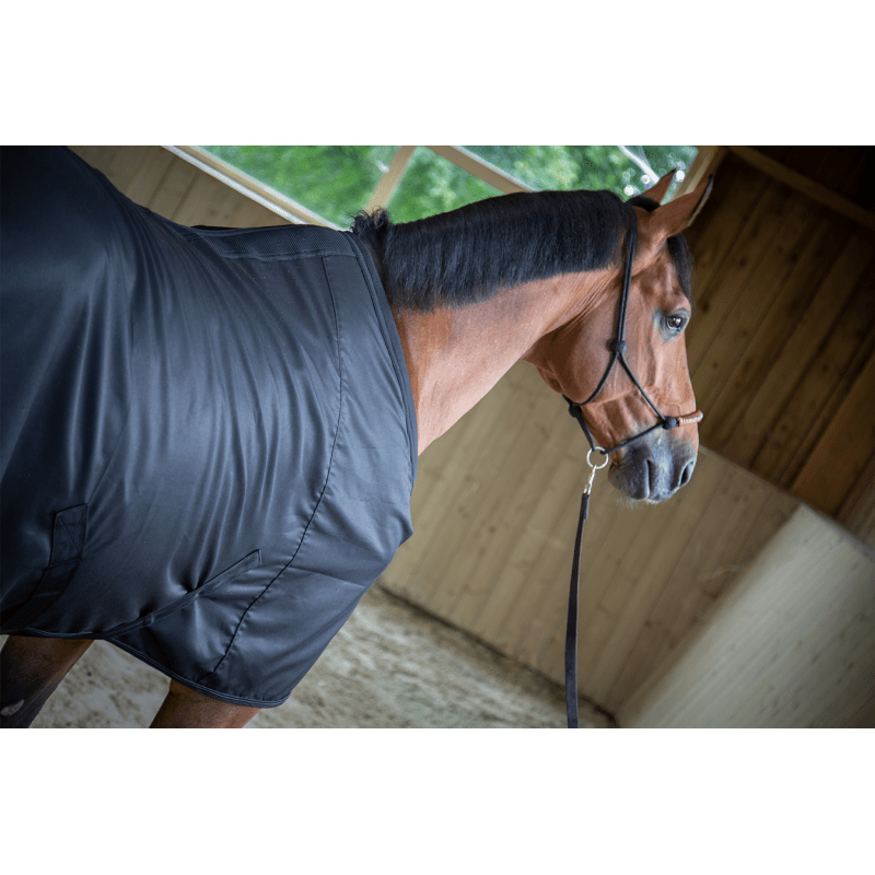 PADDOCK SPORTS - Light Mesh Stable Sheet - Exceptional Equestrian