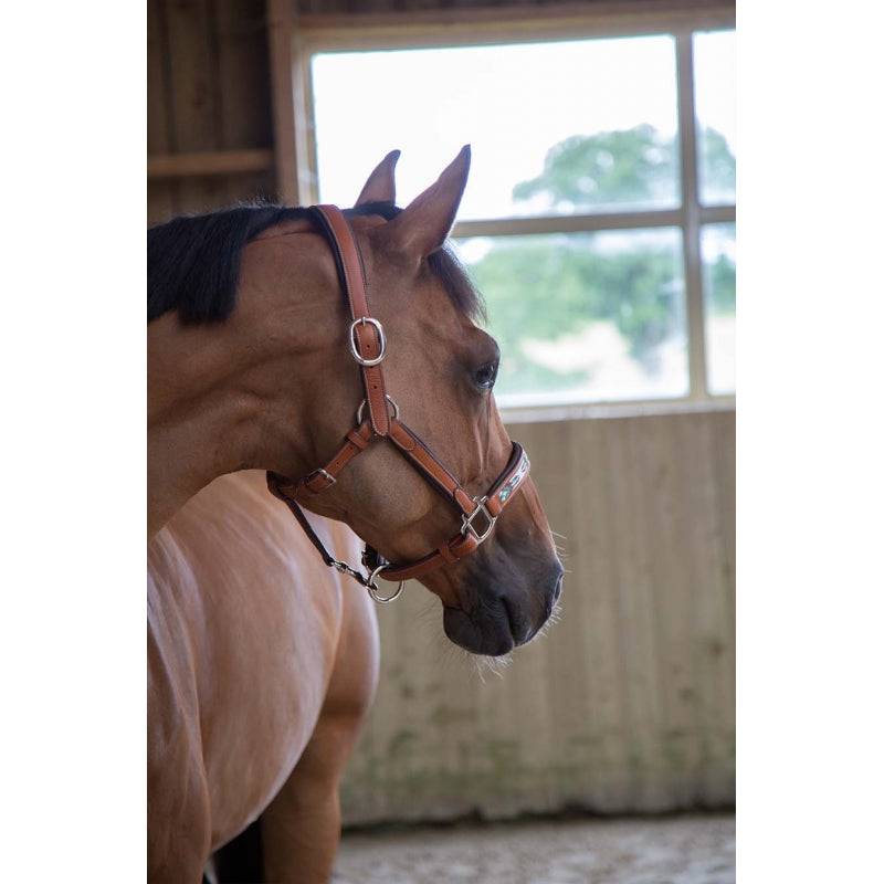 Pénélope - Pearl Halter - Exceptional Equestrian