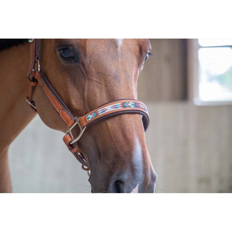 Pénélope - Pearl Halter - Exceptional Equestrian