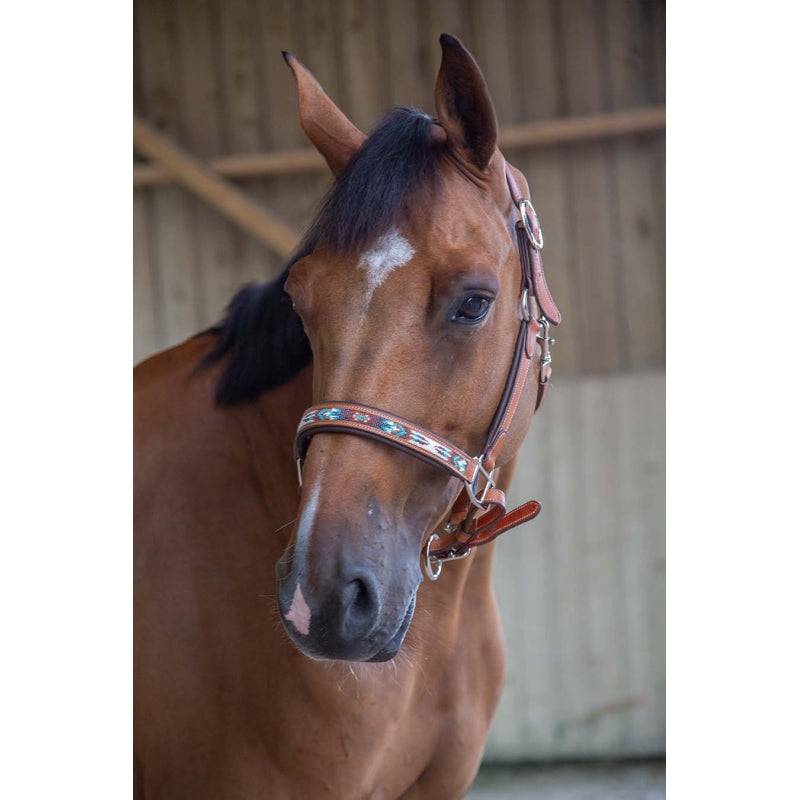 Pénélope - Pearl Halter - Exceptional Equestrian