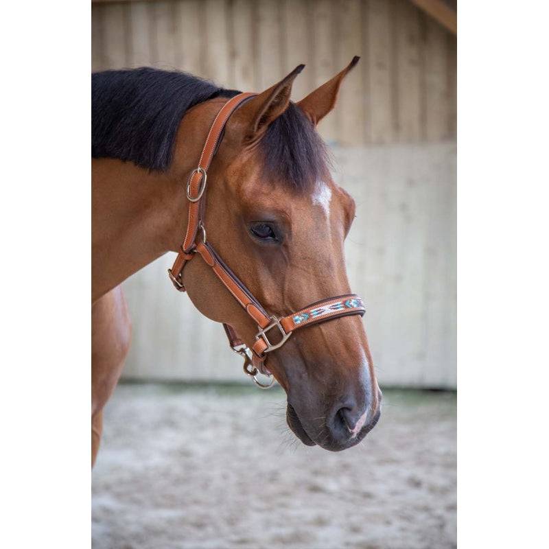 Pénélope - Pearl Halter - Exceptional Equestrian 