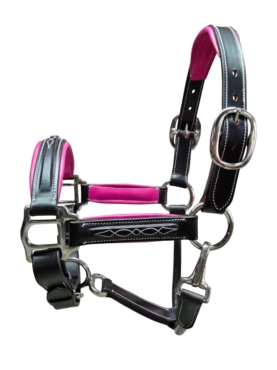 Belle & Bow - Padded Halter - Exceptional Equestrian