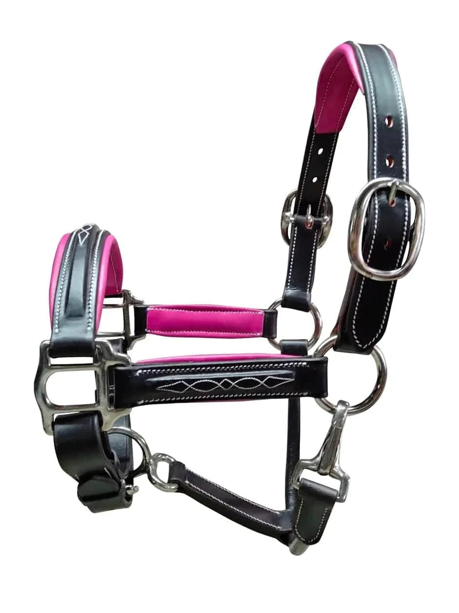 Belle & Bow - Padded Halter - Exceptional Equestrian 