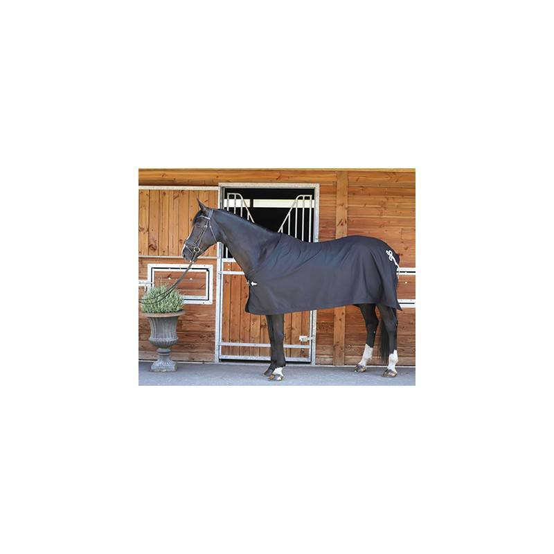 PADDOCK SPORTS - Show Sheet - Exceptional Equestrian