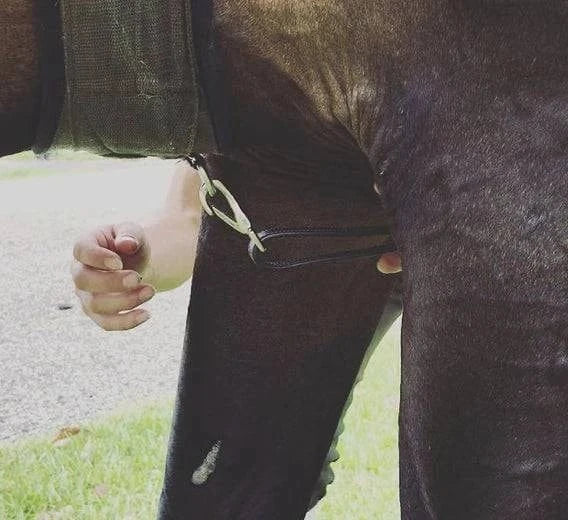 DziaSport Easy-Off Martingale - Exceptional Equestrian