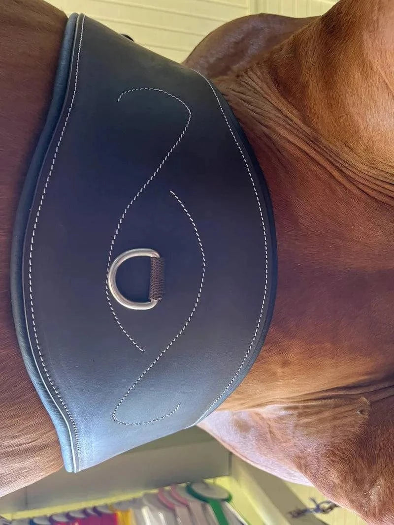 DziaSport - Ergonomic Hunter Girth - Exceptional Equestrian