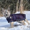 Shedrow Dog Coats