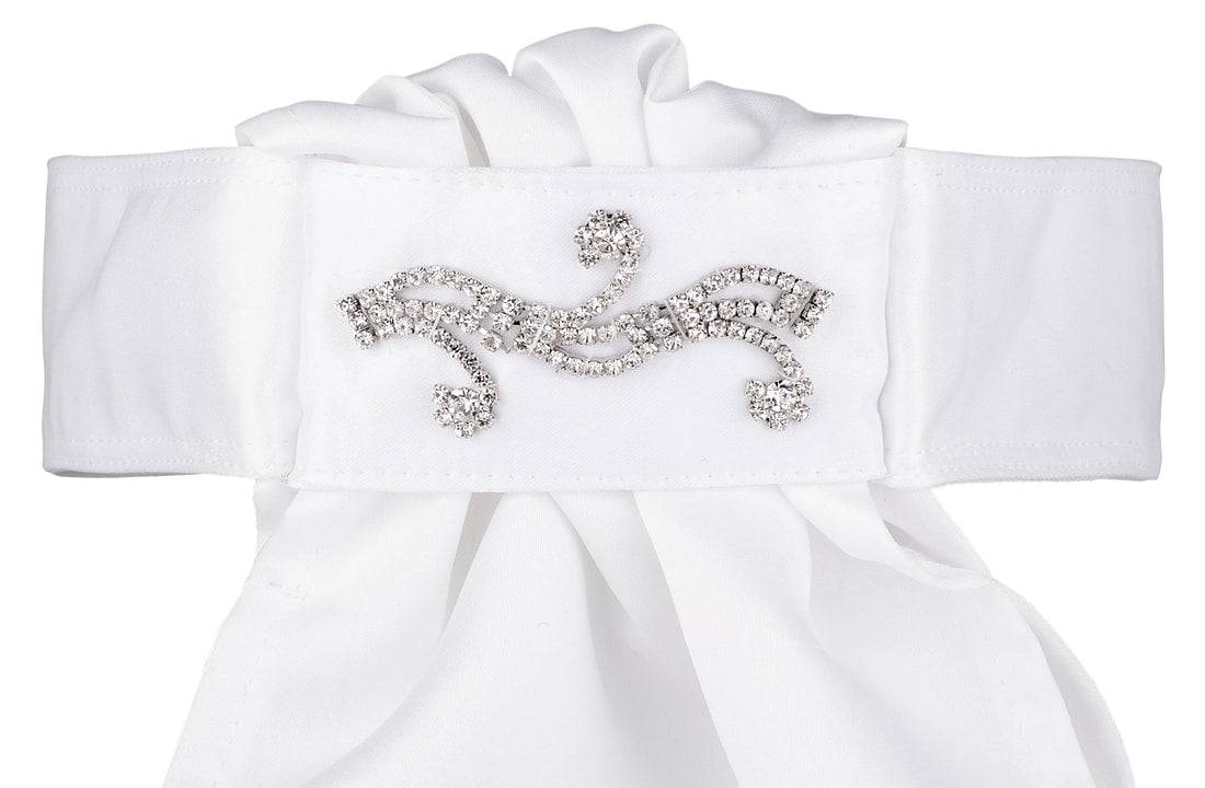 All Tied Up Stock Tie The Glen # 41 - Exceptional Equestrian